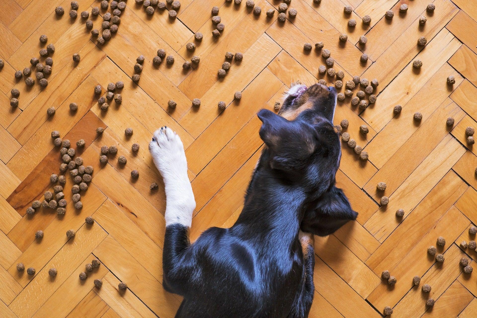 Hundefutter - Bobbis Store