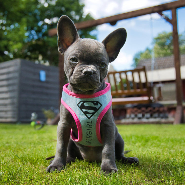 Verstellbares Hundegeschirr SUPERGIRL - Bobbis Store