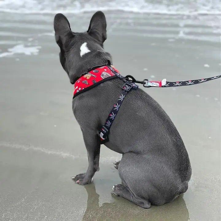 2 in 1 Hundegeschirr | Piraten - Bobbis Store Hunde