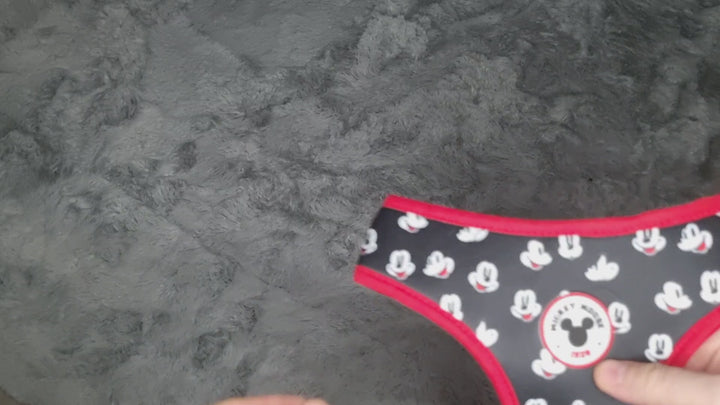Dog Harness MICKEY