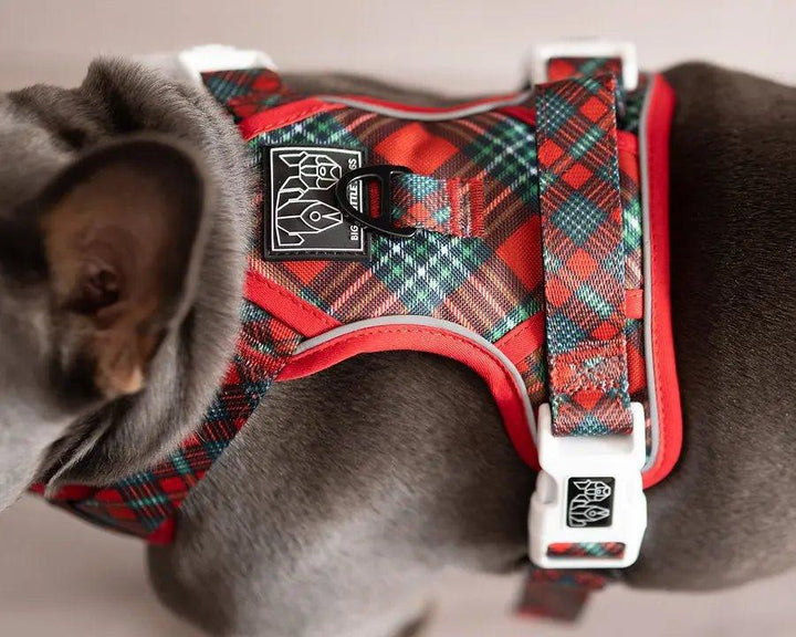 Big and Little Dogs ALLROUNDER-HUNDEGESCHIRR: Happy Holidays Plaid - Bobbis Store Hunde