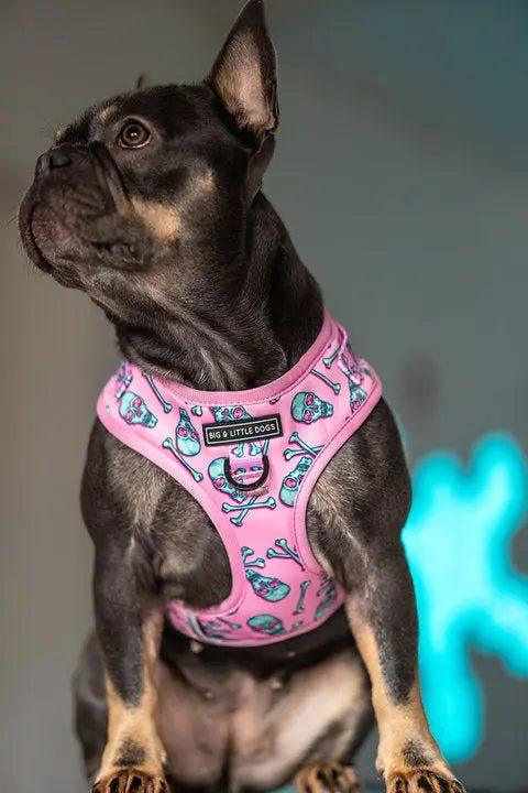 Big & Little Dogs Einstellbares Hundegeschirr: Totenkopf und Knochen - Bobbis Store Hunde