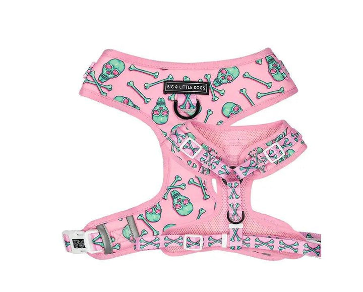 Big & Little Dogs Einstellbares Hundegeschirr: Totenkopf und Knochen - Bobbis Store Hunde