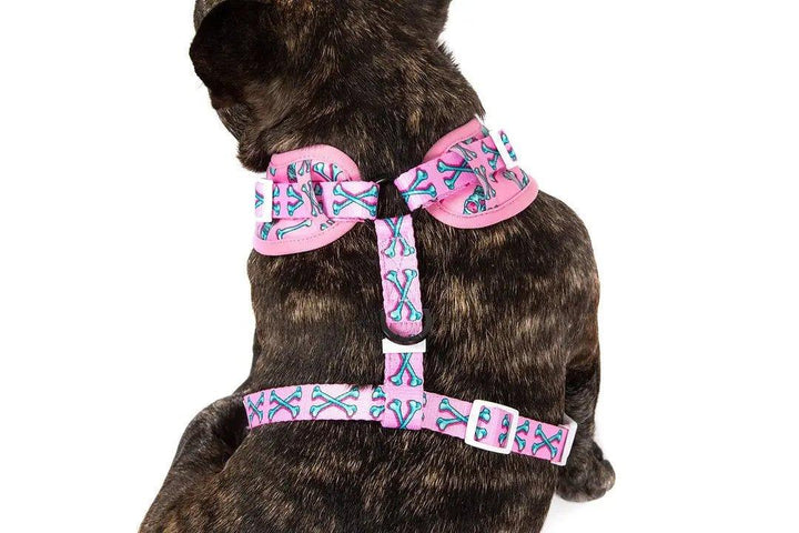Big & Little Dogs Einstellbares Hundegeschirr: Totenkopf und Knochen - Bobbis Store Hunde