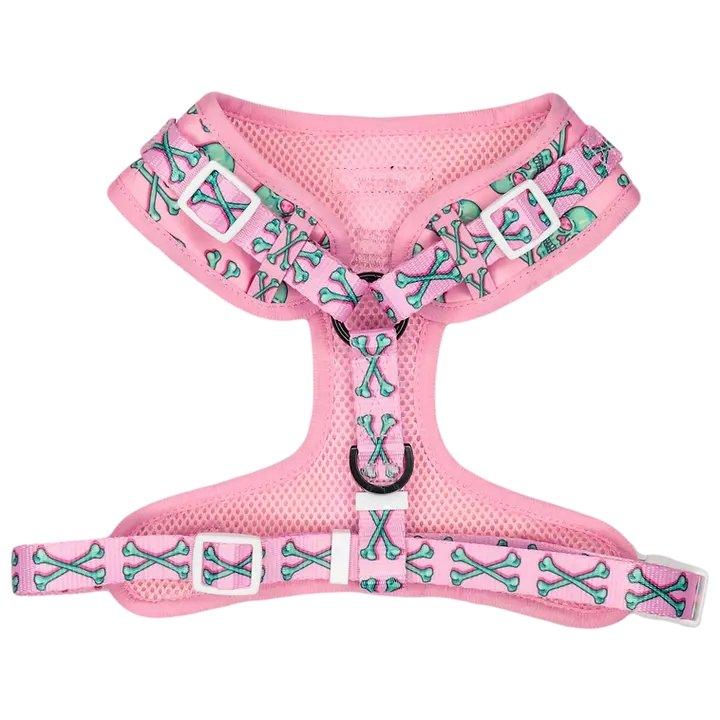 Big & Little Dogs Einstellbares Hundegeschirr: Totenkopf und Knochen - Bobbis Store Hunde