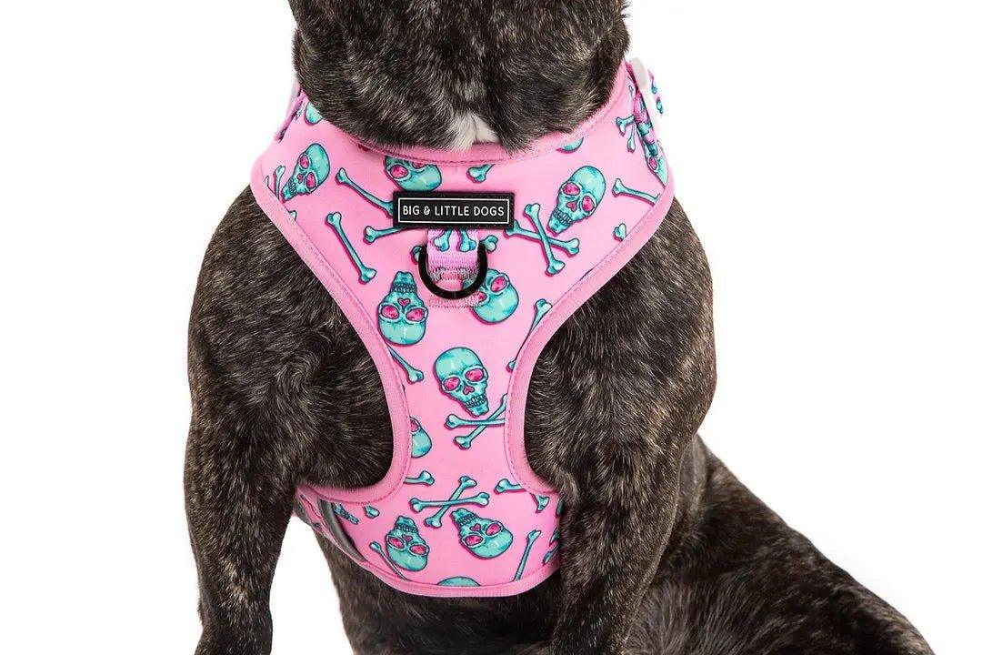 Big & Little Dogs Einstellbares Hundegeschirr: Totenkopf und Knochen - Bobbis Store Hunde