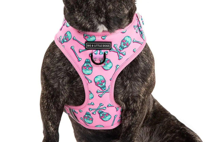Big & Little Dogs Einstellbares Hundegeschirr: Totenkopf und Knochen - Bobbis Store Hunde