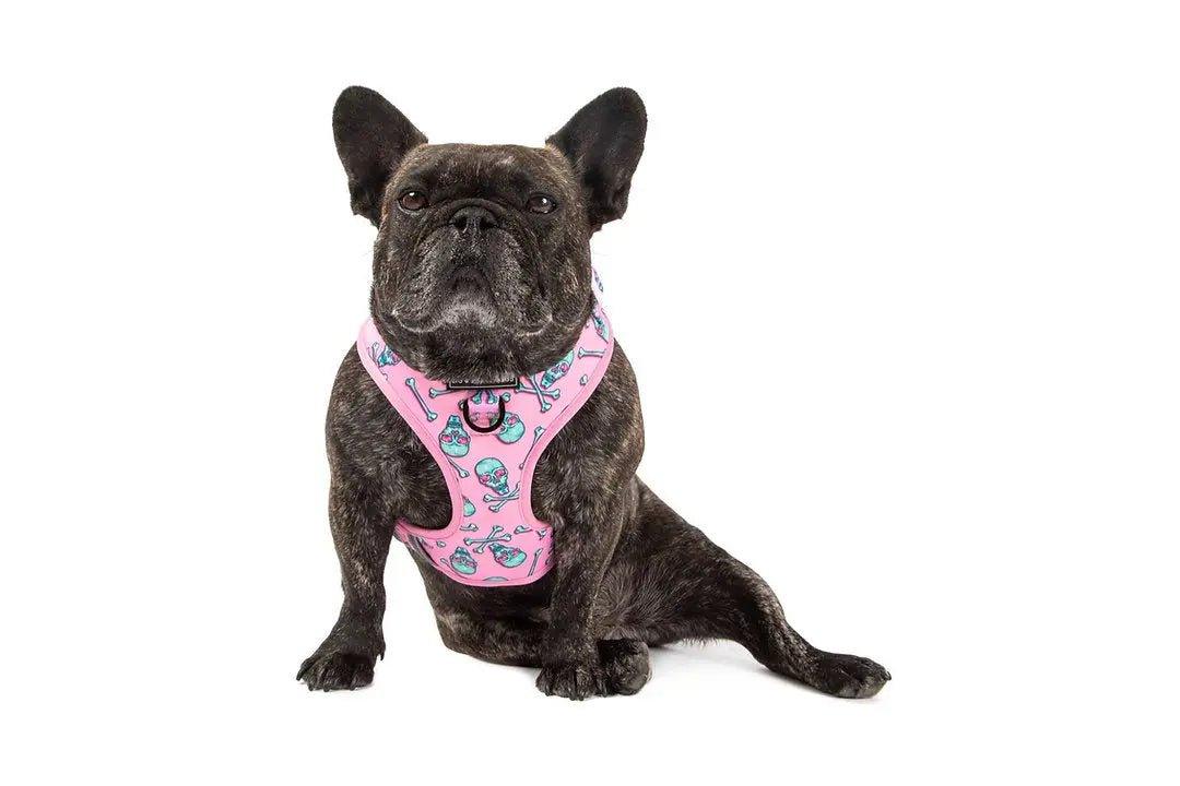 Big & Little Dogs Einstellbares Hundegeschirr: Totenkopf und Knochen - Bobbis Store Hunde