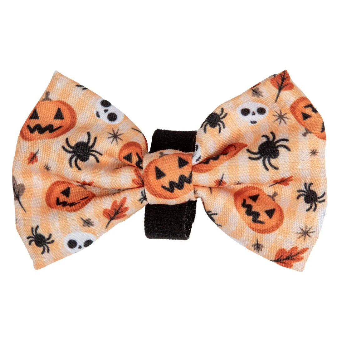 BIG & LITTLE DOGS HUNDEFLIEGE | HALLOWEEN - Bobbis Store Hunde
