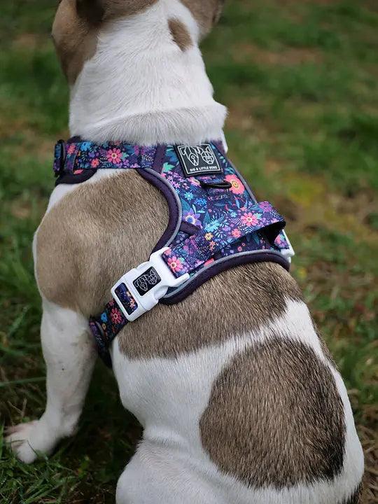 Big & Little Dogs HUNDEGESCHIRR: Blumenwiese - Bobbis Store Hunde