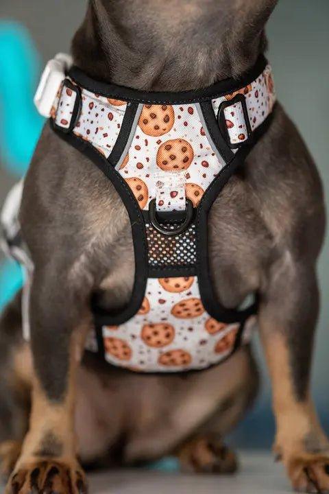 Big and Little Dogs HUNDEGESCHIRR: Cookies - Bobbis Store Hunde