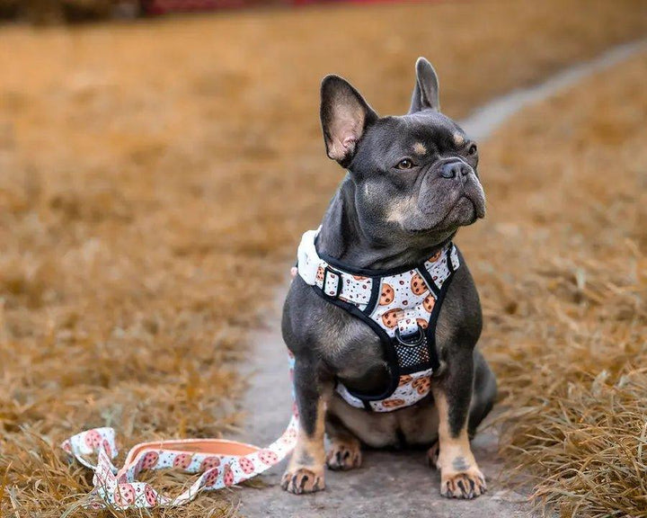 Big and Little Dogs HUNDEGESCHIRR: Cookies - Bobbis Store Hunde