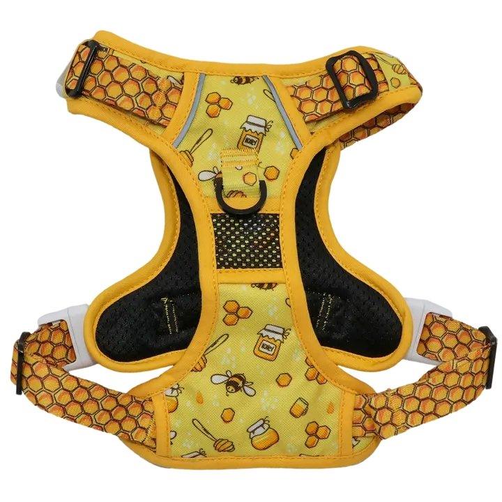 Big & Little Dogs HUNDEGESCHIRR: Honigbiene - Bobbis Store Hunde