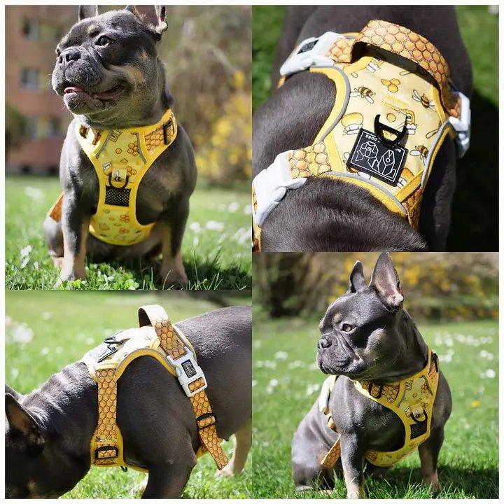 Big & Little Dogs HUNDEGESCHIRR: Honigbiene - Bobbis Store Hunde