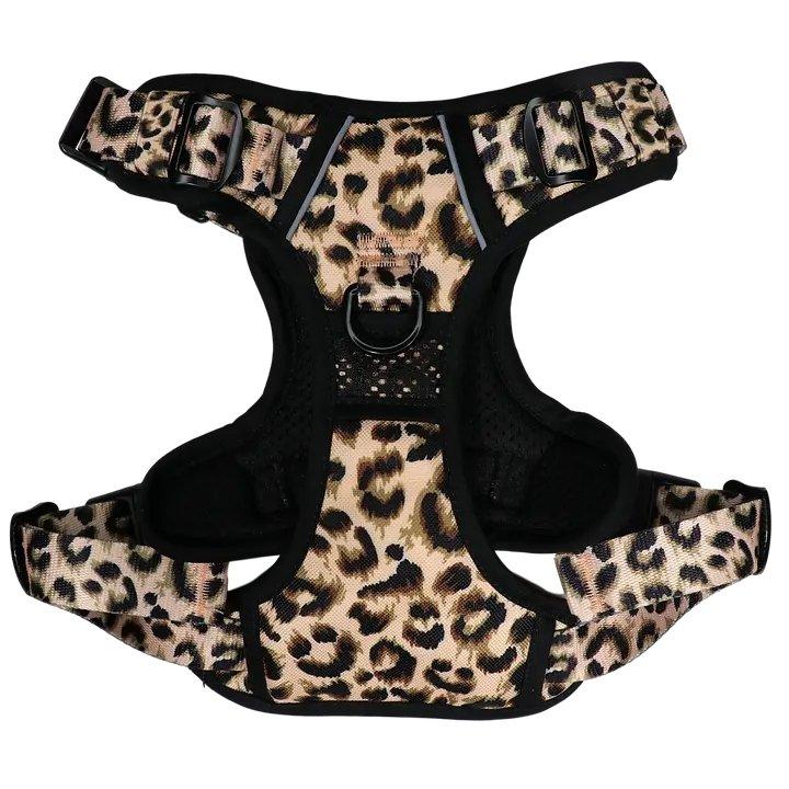 Big & Little Dogs HUNDEGESCHIRR: Leopard - Bobbis Store Hunde
