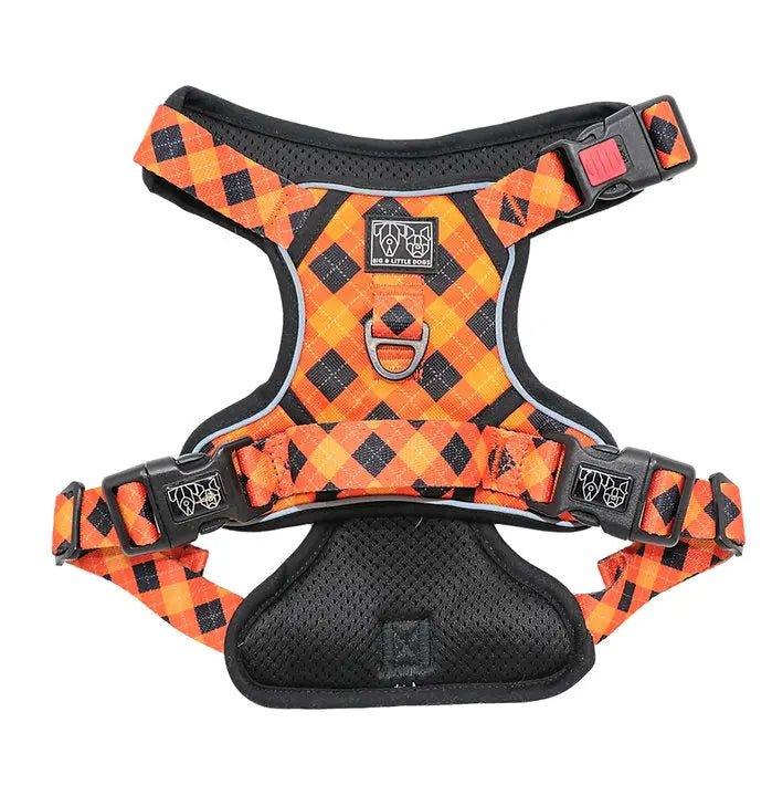 Big & Little Dogs Hundegeschirr: Plaid-Tastic - Bobbis Store Hunde