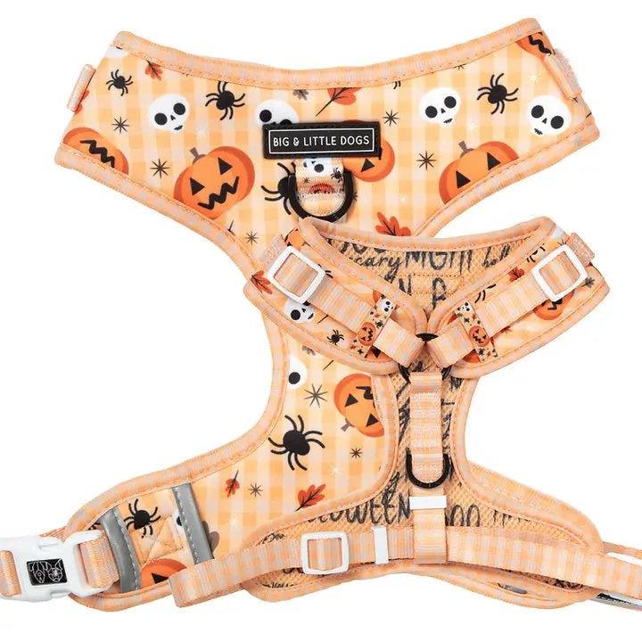 Big and Little Dogs Verstellbares Hundegeschirr: HELLOWEEN - Bobbis Store Hunde