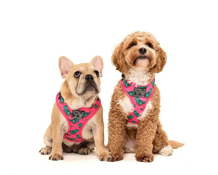 Big & Little Dogs Verstellbares Hundegeschirr: Rex - Bobbis Store Hunde