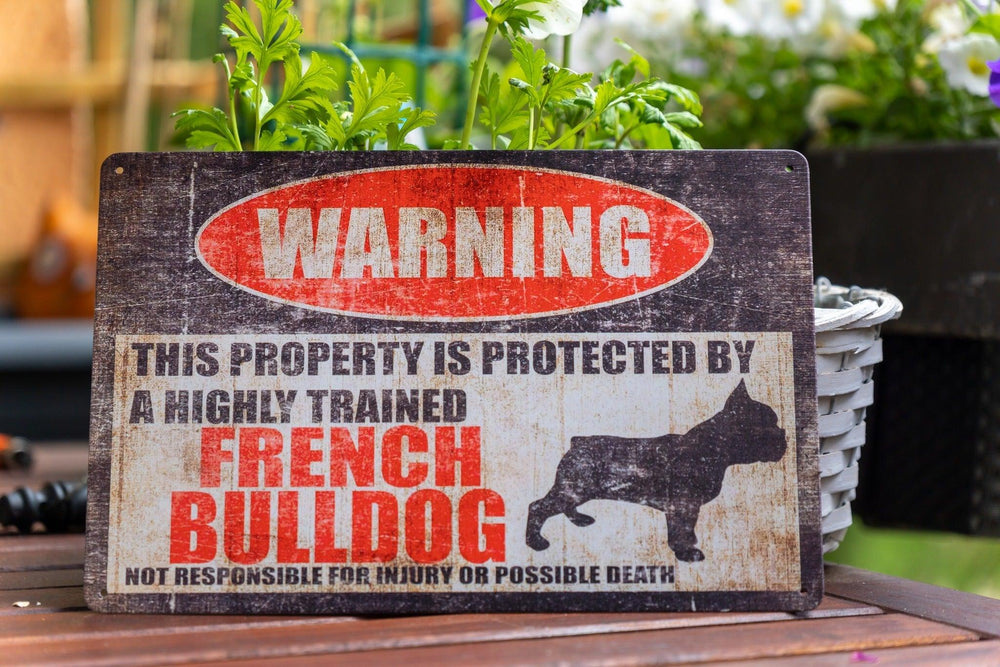 Blechschild „Französische Bulldogge“ - Bobbis Store Hunde