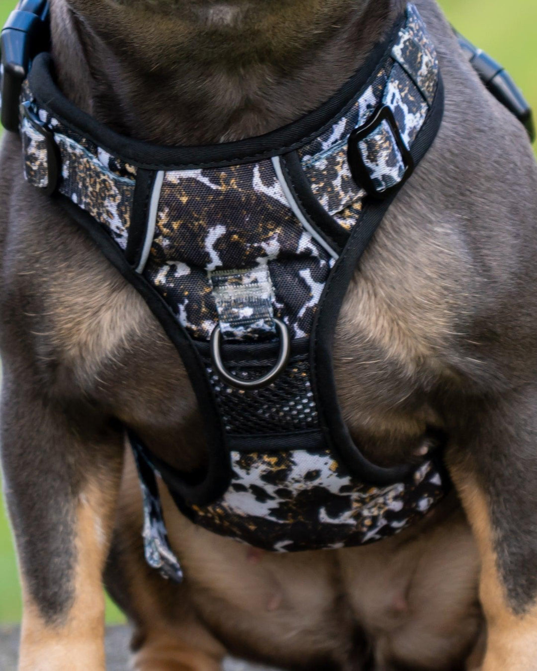 Bobbis Verstellbares Allrounder-Geschirr Leopard Kuh - Bobbis Store Hunde