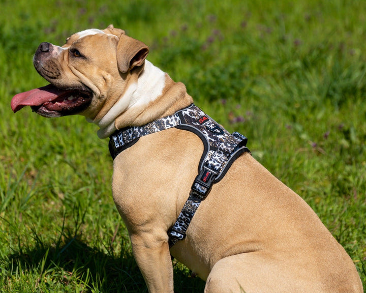 Bobbis Verstellbares Allrounder-Geschirr Leopard Kuh - Bobbis Store Hunde