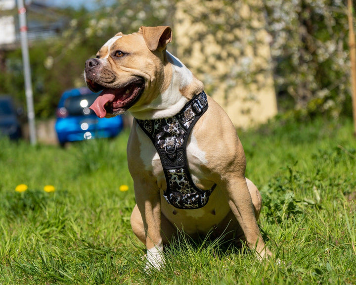 Bobbis Verstellbares Allrounder-Geschirr Leopard Kuh - Bobbis Store Hunde
