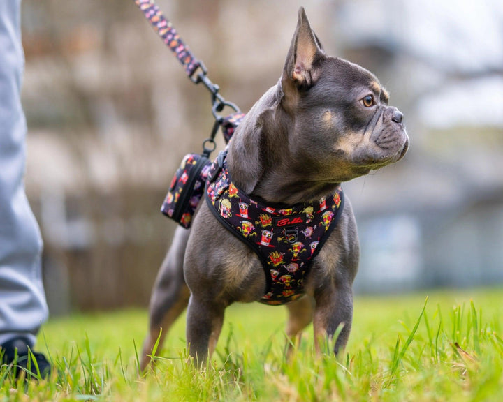 Bobbis Verstellbares Hundegeschirr: FAST FOOD ZOMBIES - Bobbis Store Hunde