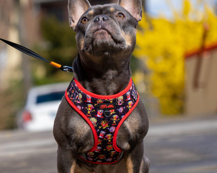 Bobbis Verstellbares Hundegeschirr: FAST FOOD ZOMBIES Rot - Bobbis Store Hunde