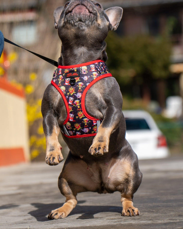 Bobbis Verstellbares Hundegeschirr: FAST FOOD ZOMBIES Rot - Bobbis Store Hunde
