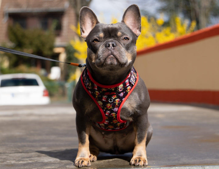 Bobbis Verstellbares Hundegeschirr: FAST FOOD ZOMBIES Rot - Bobbis Store Hunde