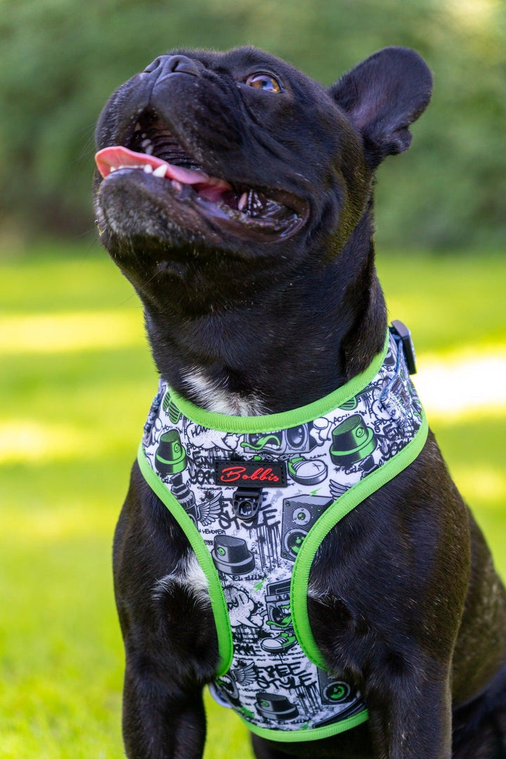 Bobbis Verstellbares Softgeschirre: Graffiti - Bobbis Store Hunde