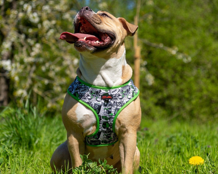 Bobbis Verstellbares Hundegeschirr: Graffiti - Bobbis Store Hunde