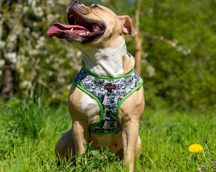 Bobbis Verstellbares Hundegeschirr: Graffiti - Bobbis Store Hunde