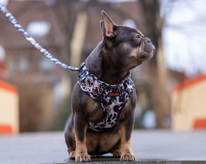 Bobbis Verstellbares Hundegeschirr: Leopard Kuh - Bobbis Store Hunde