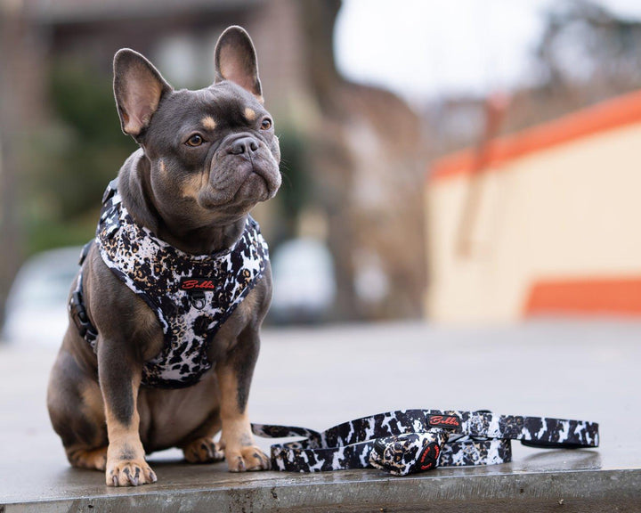 Bobbis Verstellbares Hundegeschirr: Leopard Kuh - Bobbis Store Hunde