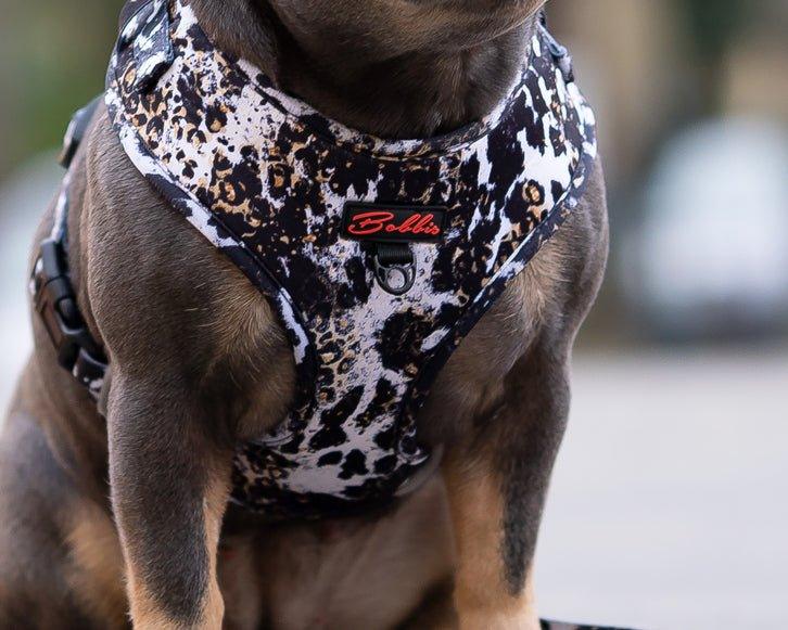 Bobbis Verstellbares Hundegeschirr: Leopard Kuh - Bobbis Store Hunde