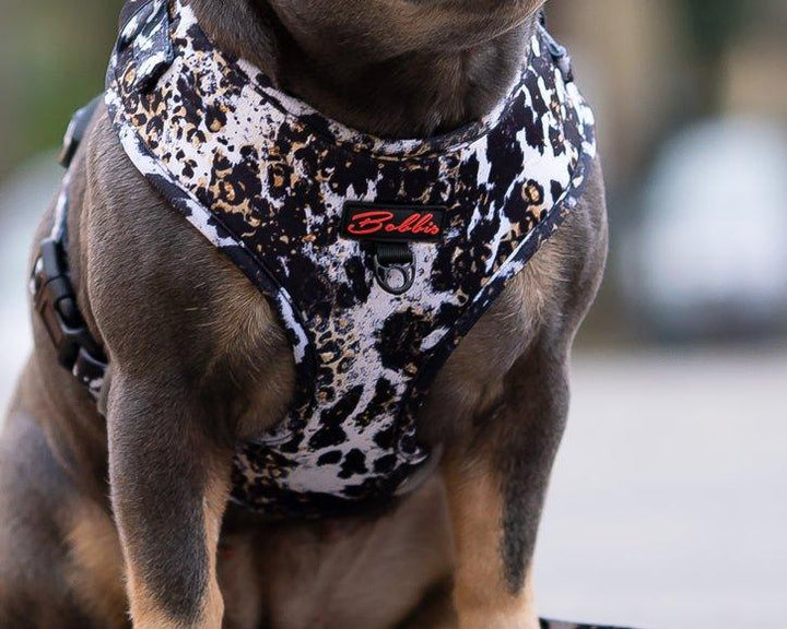 Bobbis Verstellbares Hundegeschirr: Leopard Kuh - Bobbis Store Hunde