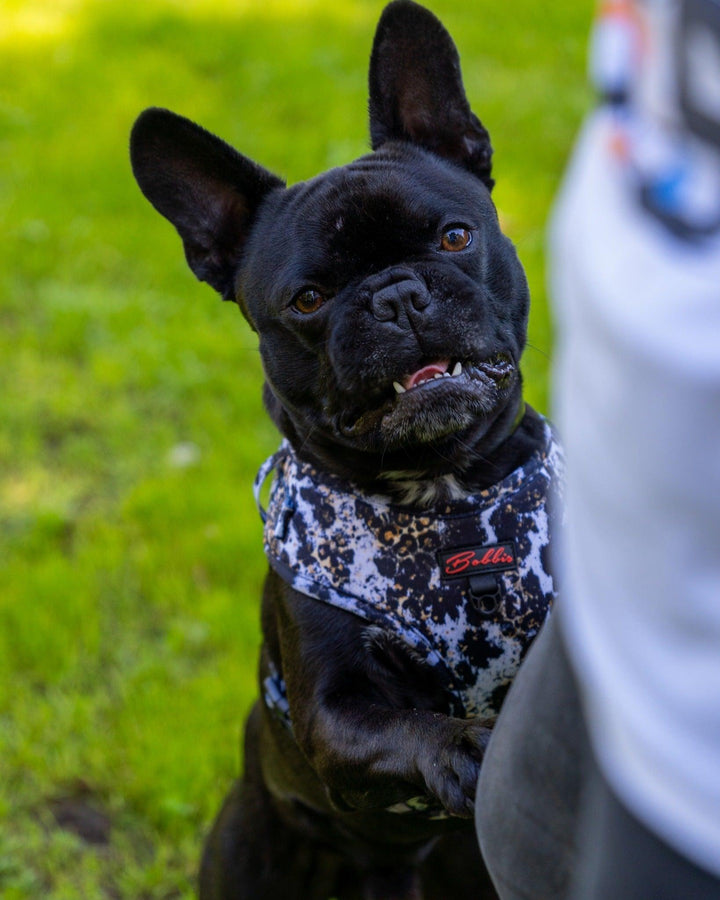 Bobbis Verstellbares Softgeschirre: Leopard Kuh - Bobbis Store Hunde