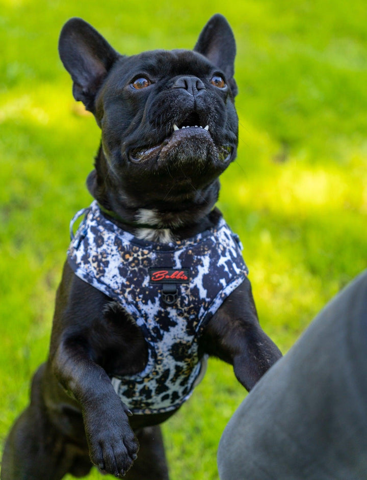 Bobbis Verstellbares Softgeschirre: Leopard Kuh - Bobbis Store Hunde