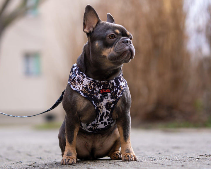 Bobbis Verstellbares Hundegeschirr: Leopard Kuh - Bobbis Store Hunde