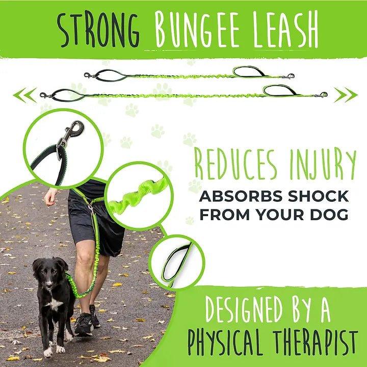 Bungee-Leine 2.0 - Bobbis Store Hunde