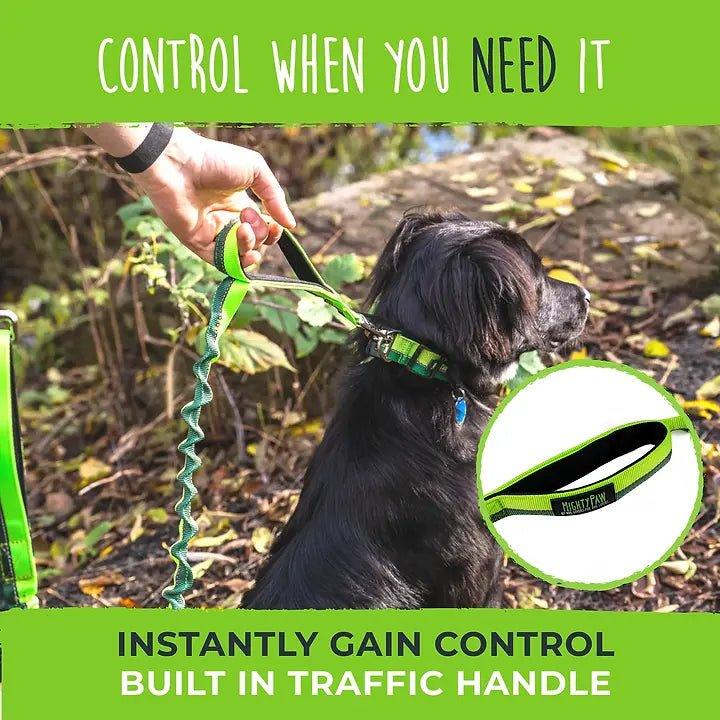 Bungee-Leine 2.0 - Bobbis Store Hunde