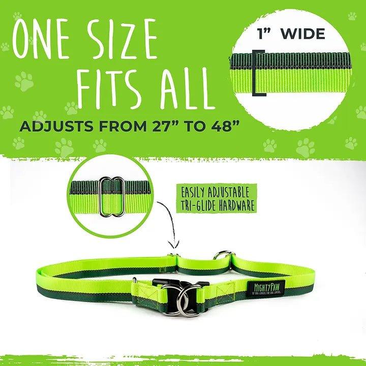 Bungee-Leine 2.0 - Bobbis Store Hunde