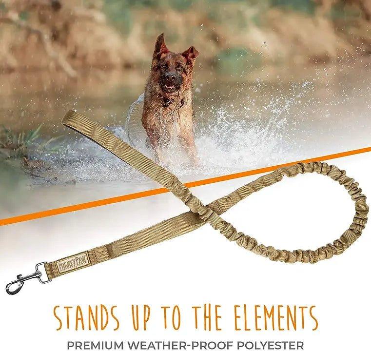Bungee-Leine (Canvas) - Bobbis Store Hunde