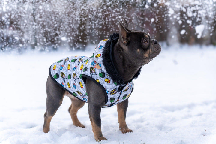 GEPOLSTERTER HUNDEMANTEL AVENGERS - Bobbis Store Hunde