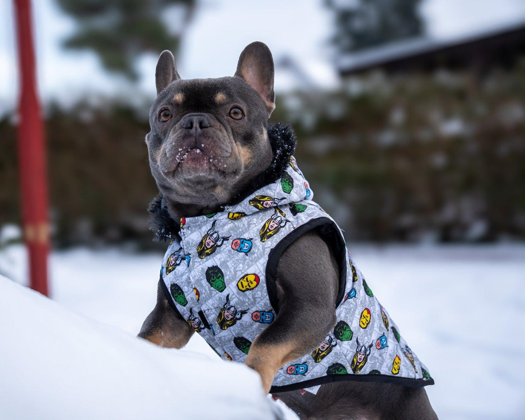 GEPOLSTERTER HUNDEMANTEL AVENGERS - Bobbis Store Hunde