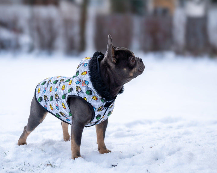 GEPOLSTERTER HUNDEMANTEL AVENGERS - Bobbis Store Hunde
