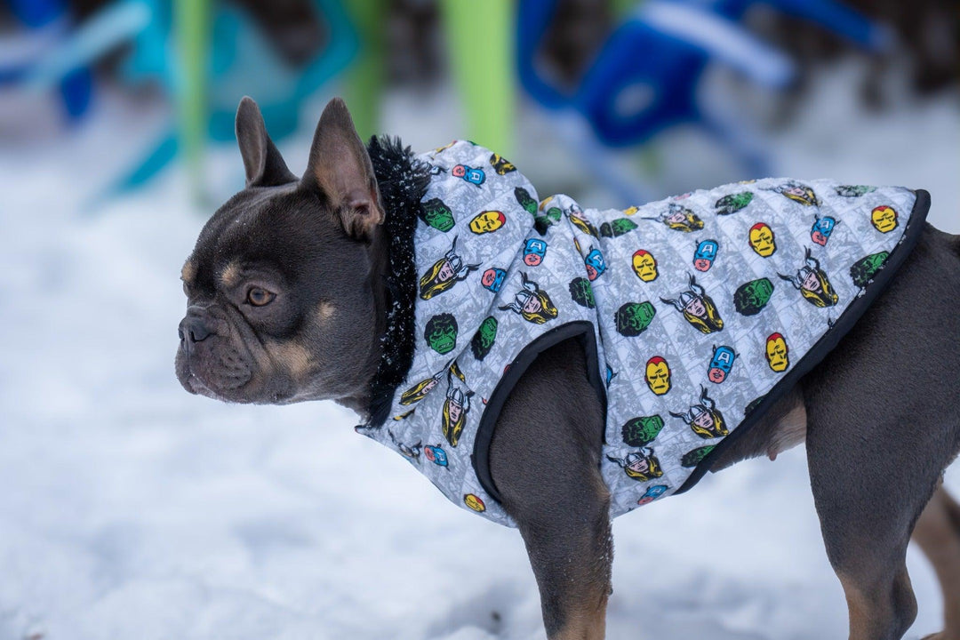 GEPOLSTERTER HUNDEMANTEL AVENGERS - Bobbis Store Hunde