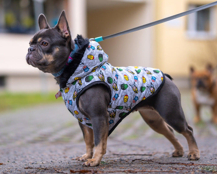 GEPOLSTERTER HUNDEMANTEL AVENGERS - Bobbis Store Hunde