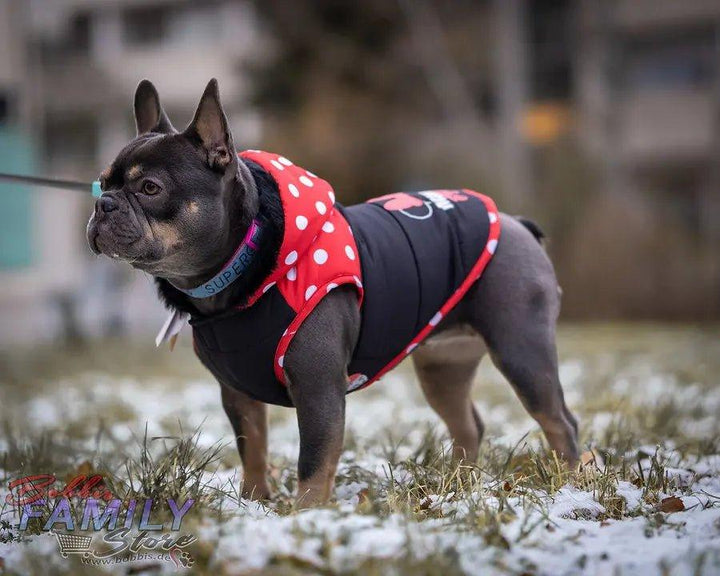 GEPOLSTERTER HUNDEMANTEL MINNIE - Bobbis Store Hunde